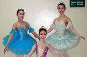 Japan Ballet Competition兵庫2015