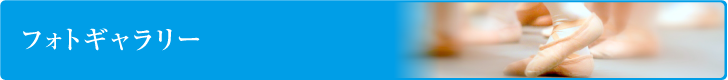 フォトギャラリー