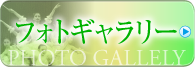 フォトギャラリー
